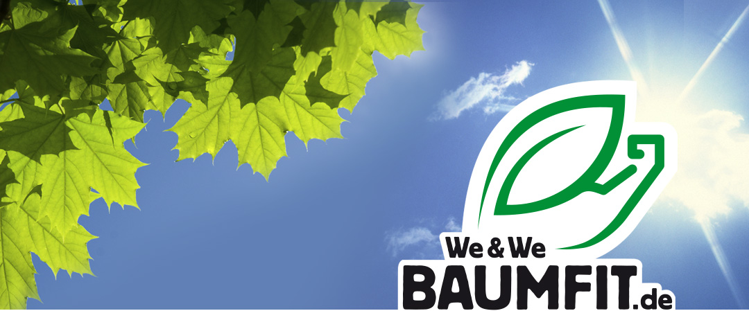 Baumfit Logo Werbung